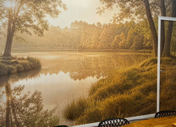Brede natuurprint als fotobehang over een volledige muur in Leeuwarden