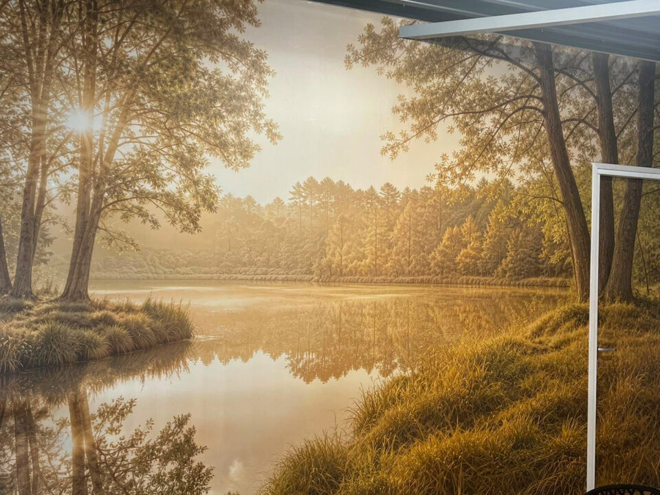 Wandvullend fotobehang met bomen en water in een ruimte in Leeuwarden